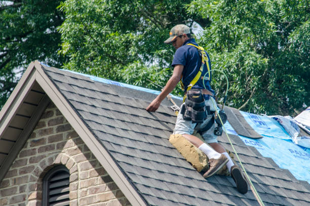 Best Best Roofing Contractors  in Colstrip, MT